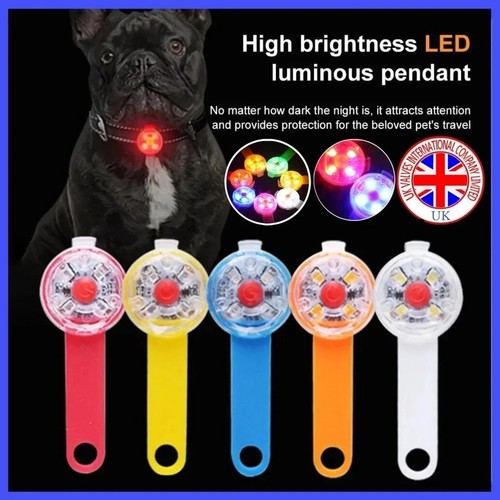Rechargeable dog collar - dog,