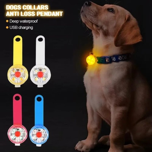Rechargeable dog collar light - collar,