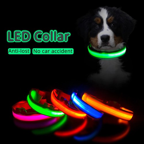 Usb rechargeable led - usb, dog