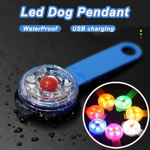 Rechargeable dog collar light - collar,