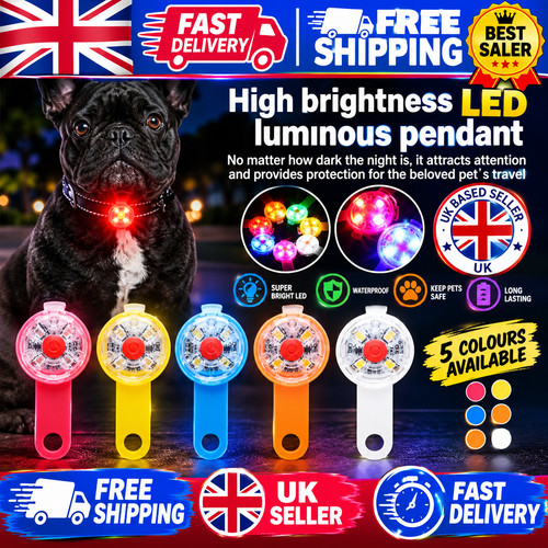 Rechargeable dog collar light - collar,
